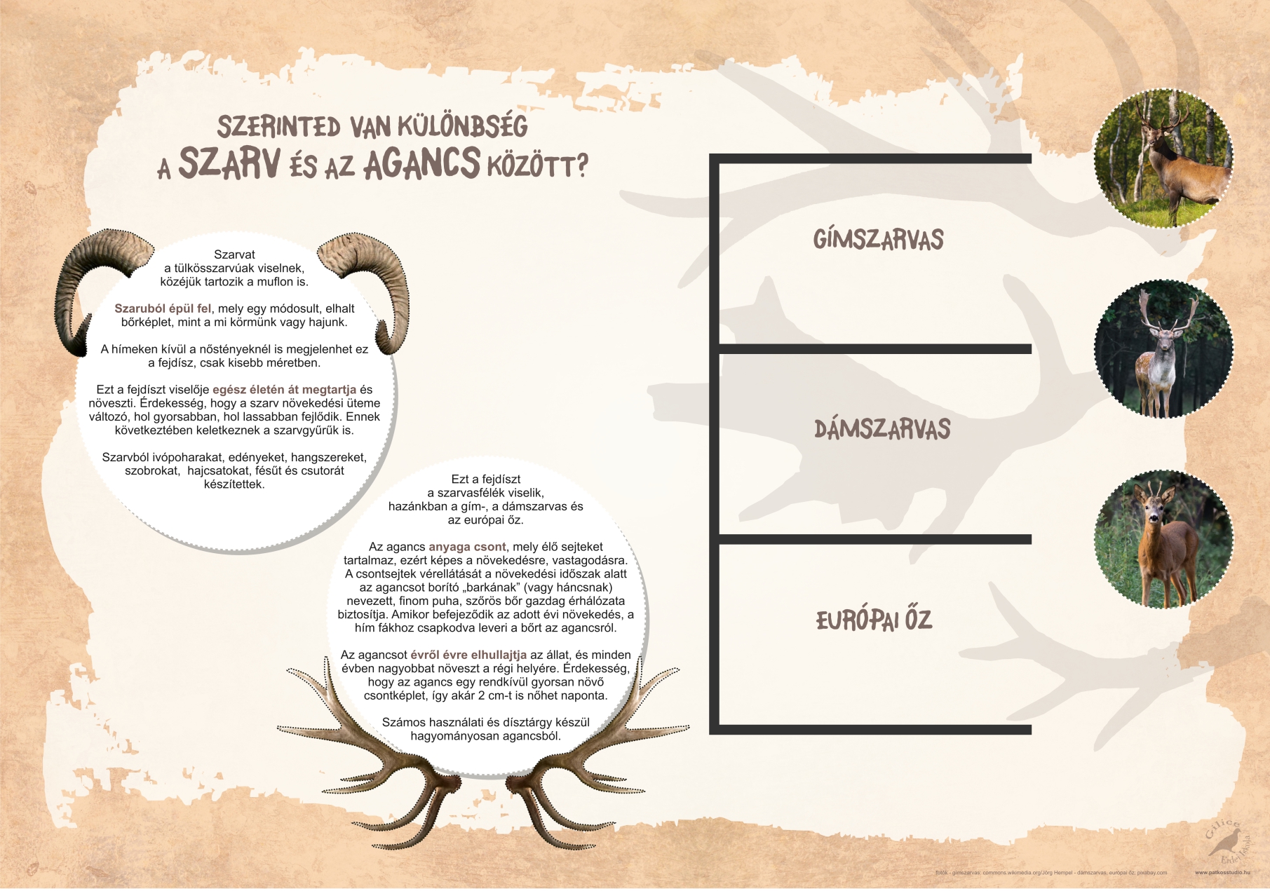 Interaktív tanösvény a Pákozd-Sukorói Arborétumban