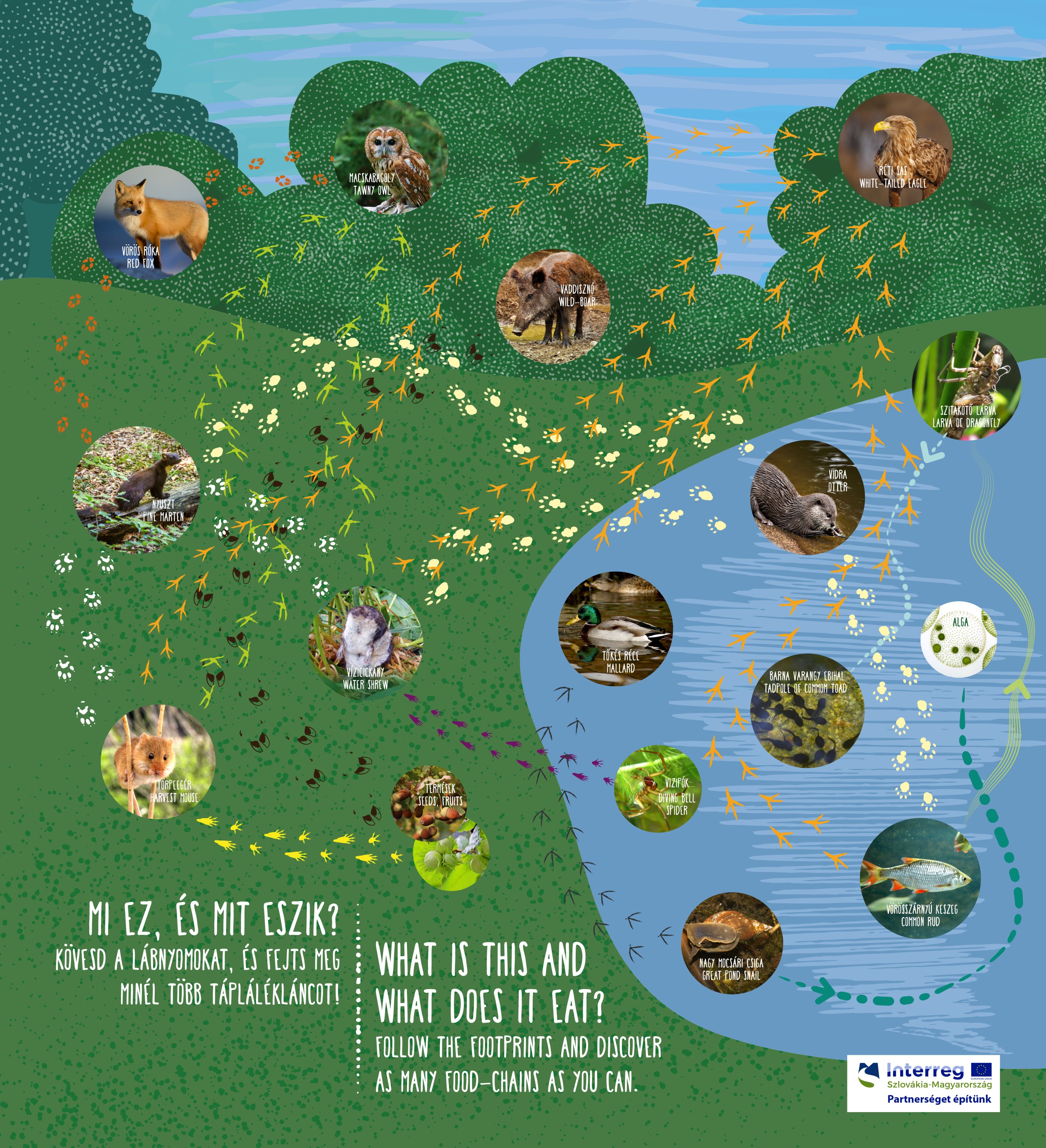 Educational trail 