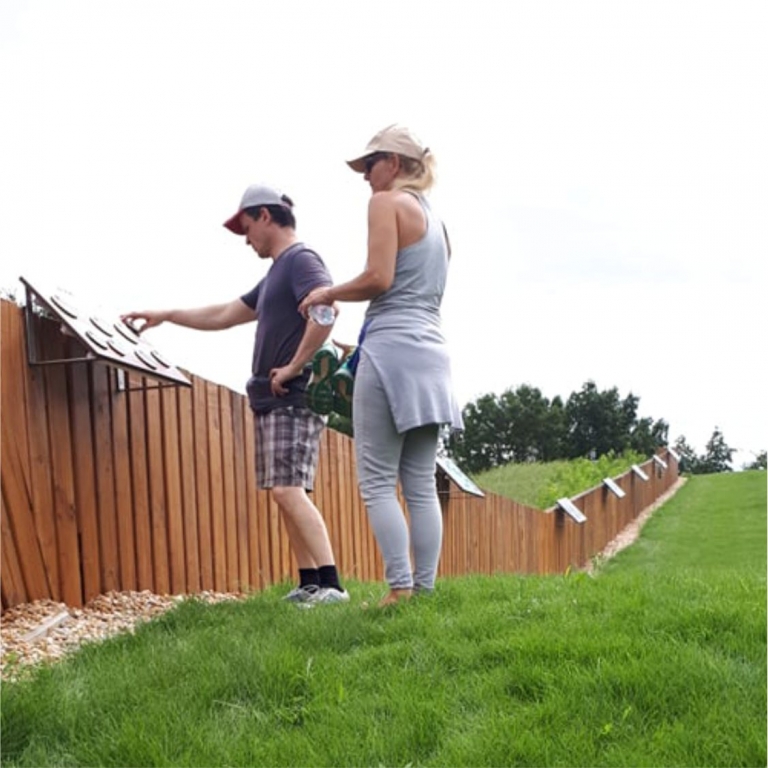 Visitors on the green roof - Visitatori sul tetto verde