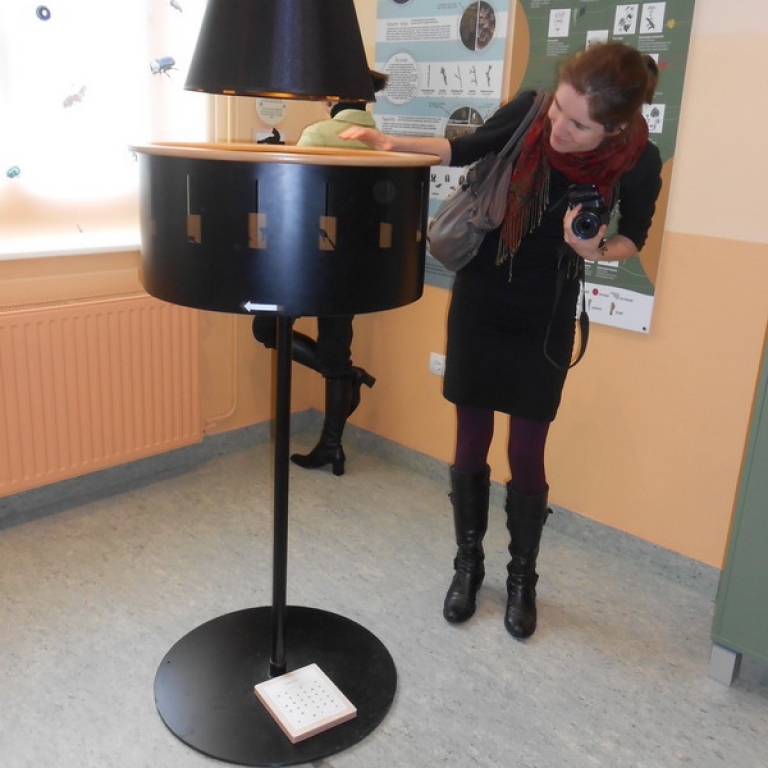 Embed Zoetrope