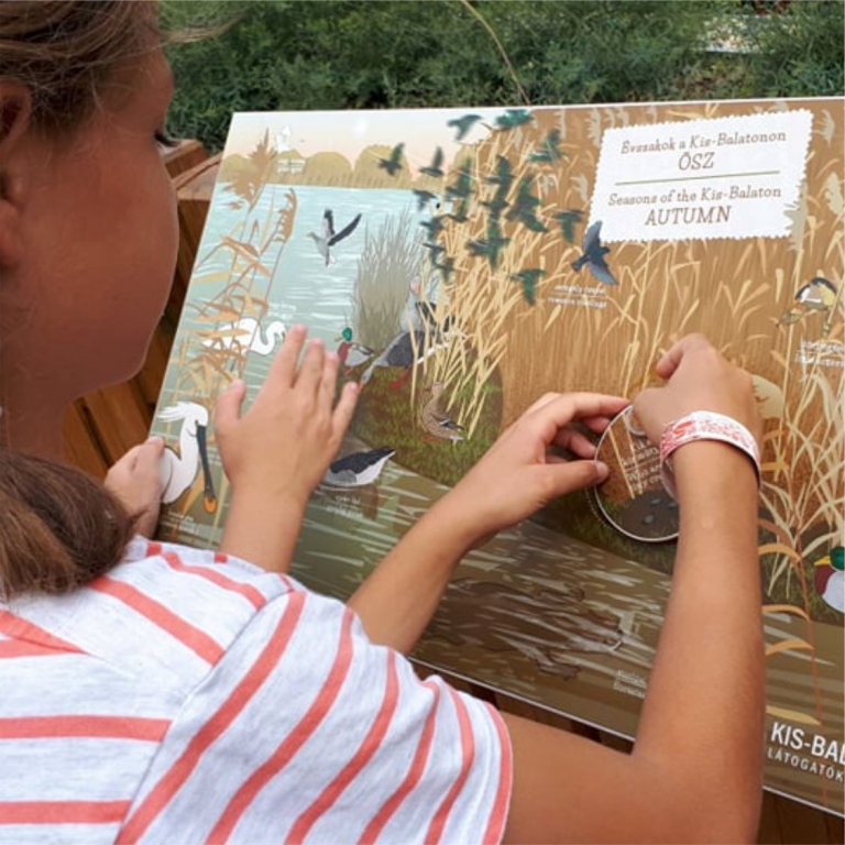 Interactive board - Pannello interattivo