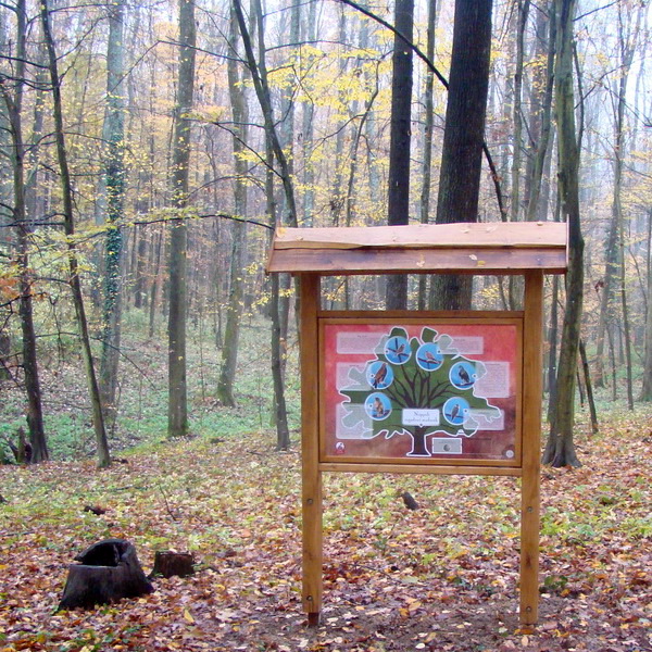 A Madárerdő tanösvény egyik táblája