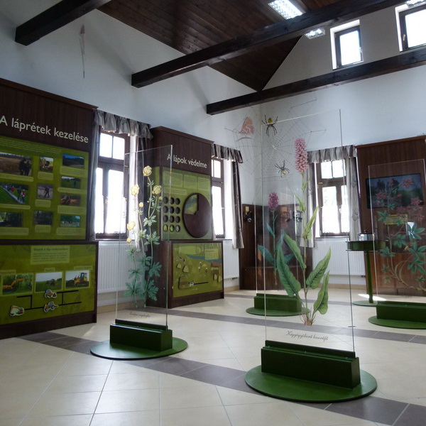 A kiállítás belső terét interaktív szekrényekkel, interaktív panorámaképpel és dekoratív plexi lemezekkel rendezt