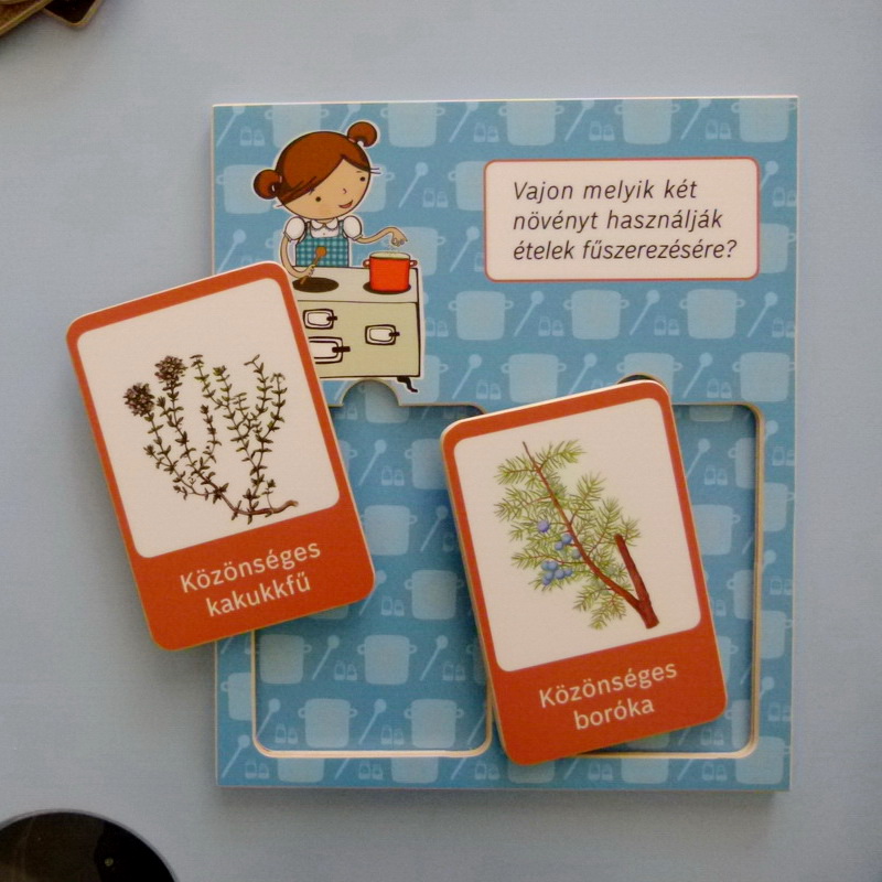 Melyik növényt mire használhatjuk? A játékos kártyák segítenek megismerni a gyakori gyógy- és fűszernövényeket.