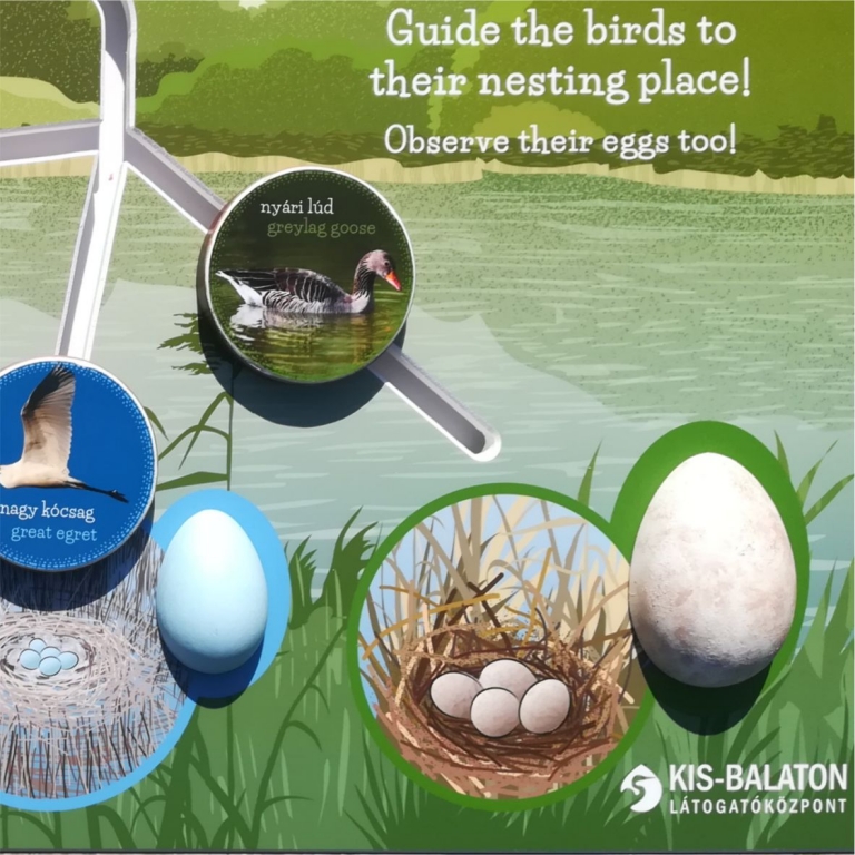 Interactive board with 3D eggs - Pannello interattivo con uova 3D