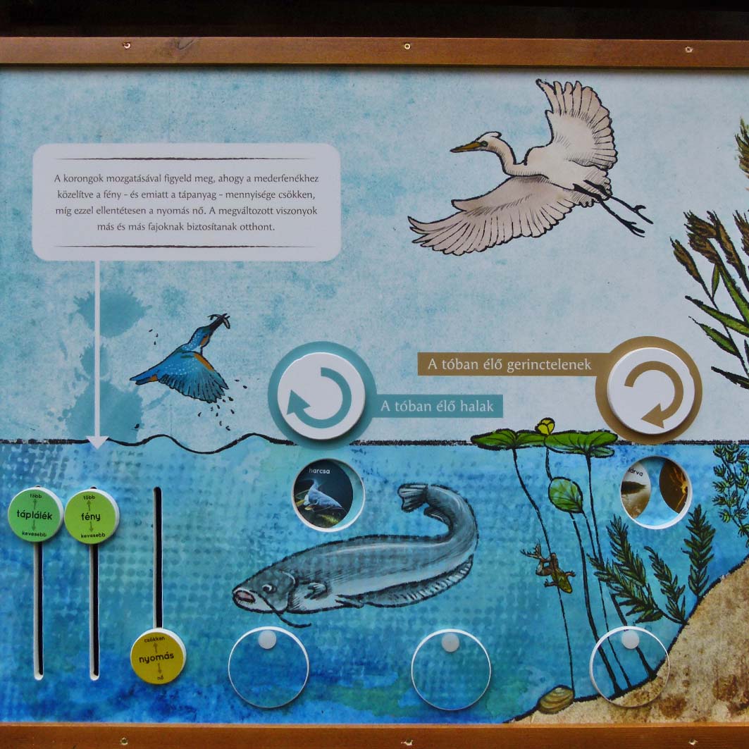 Tavak, patakok élővilága sok interaktív elemmel