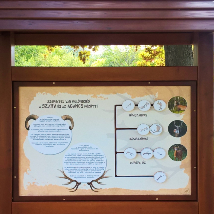 Mi a különbség az agancs és a szarv között?