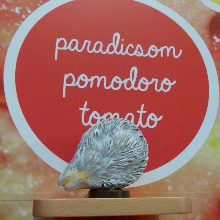 The enlarged seed of the tomato - Il seme ingrandito del pomodoro