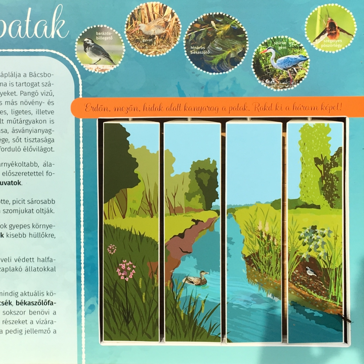 Forgasd ki a képeket és nézd meg a patak sokféle arcát!