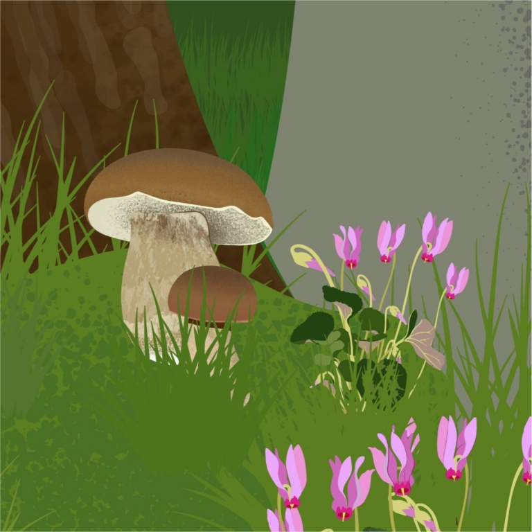 Detail from the graphics – Dettaglio della grafica - 2