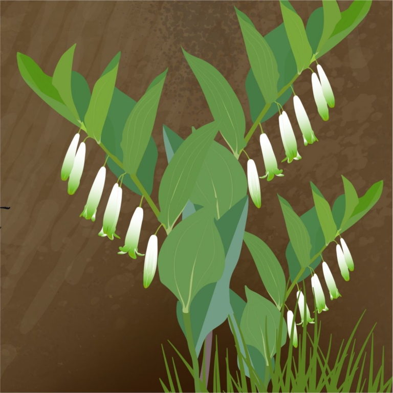 Detail from the graphics – Dettaglio della grafica - 4