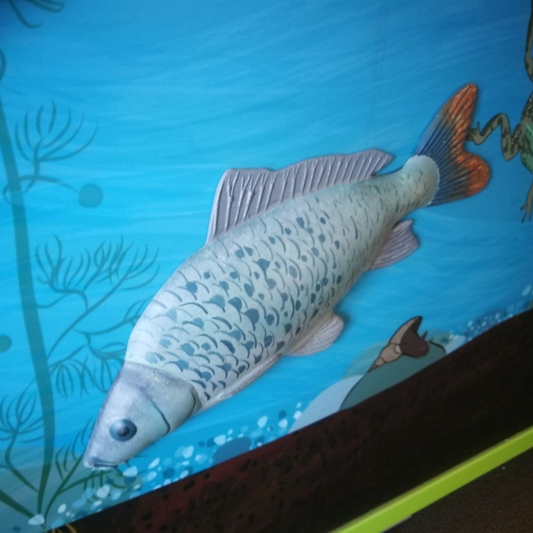 3D model on the interactive wall - 3D modello sul parete interattiva