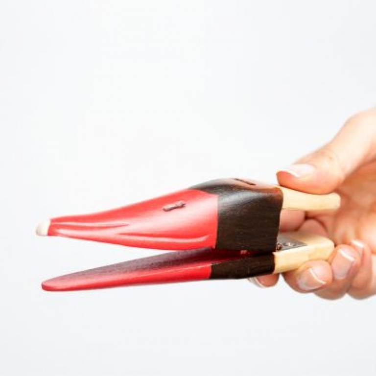 Wooden beak of red-crested pochard - Becco di legno di fistione turco
