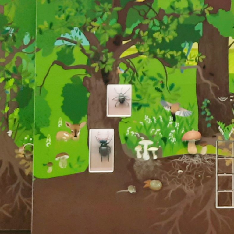 Az erdő állatai interaktív fal - 2
