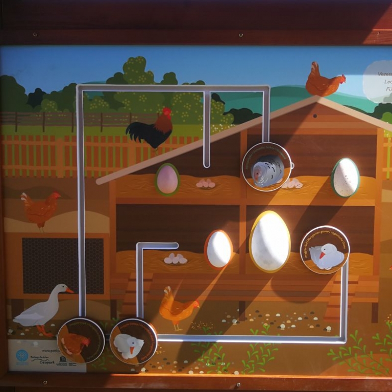 Interactive board with 3D eggs - Pannello interattivo con uova 3D