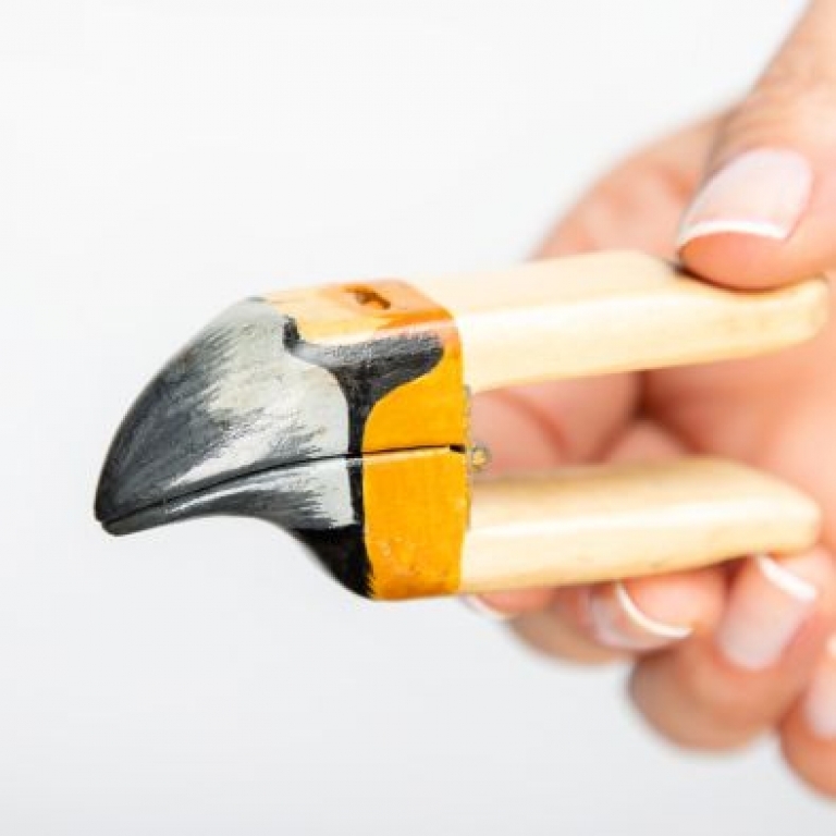 Wooden beak of hawfinch – Becco di legno di frosone comune