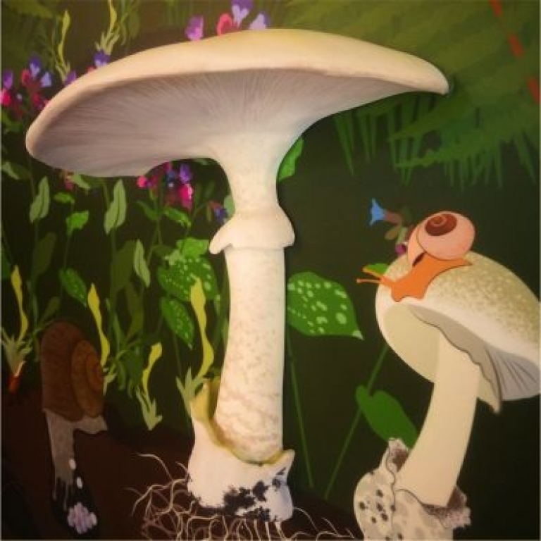 Mushrom 3D model on an exhibition board - Fungo 3D su un pannello di una mostra - 2