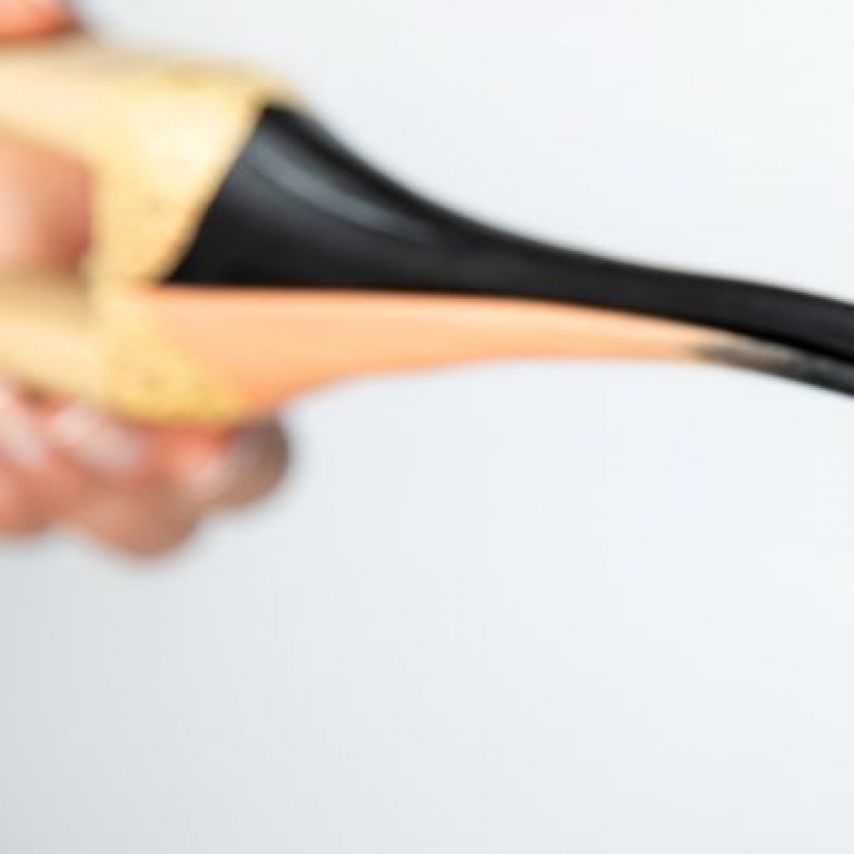 Wooden beak of common curlew – Becco di legno di chiurlo maggiore - 1