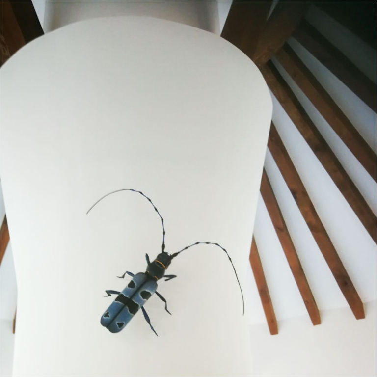 3D model on the wall - Modello 3D sulla parete