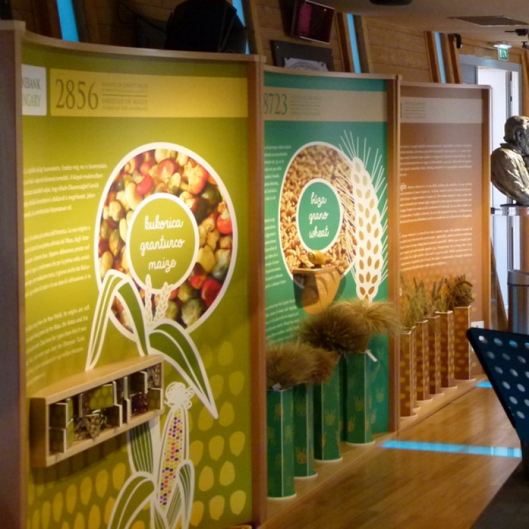 Our boards on the exhibition - 1