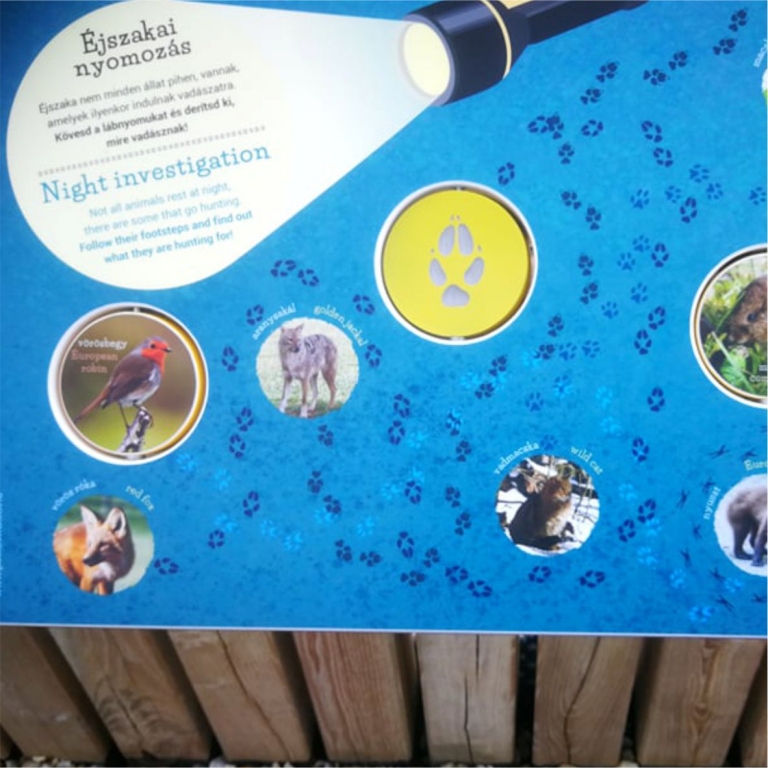 Interactive board with animal footprints - Pannello interattivo con tracce di animali