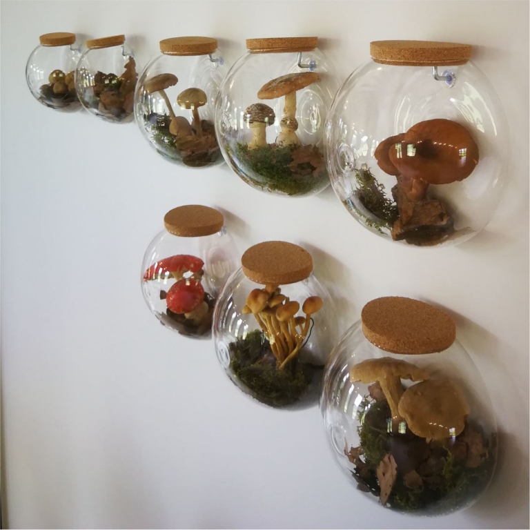 Mushroom exhibition - Mostra di funghi