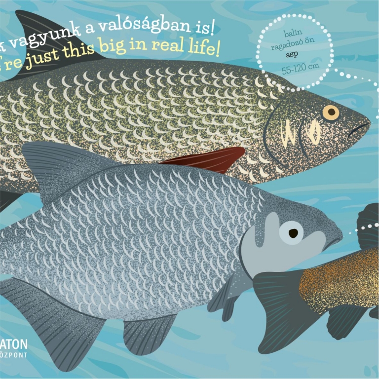 Board on fishes - Pannello sui pesci