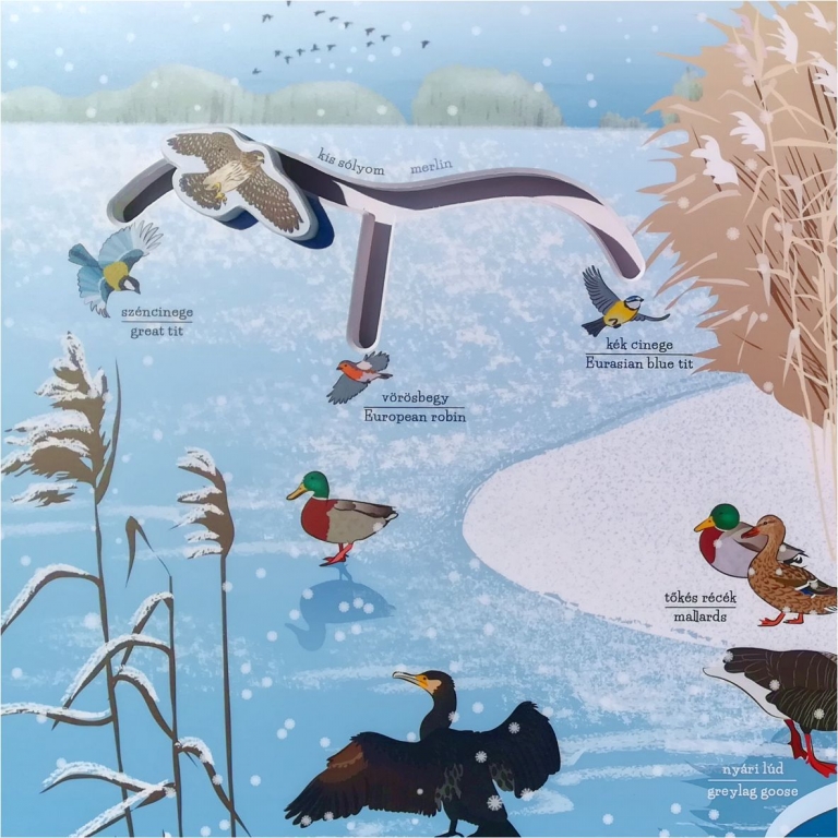 Winter on the lake 