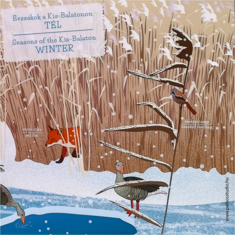 Winter on the lake 