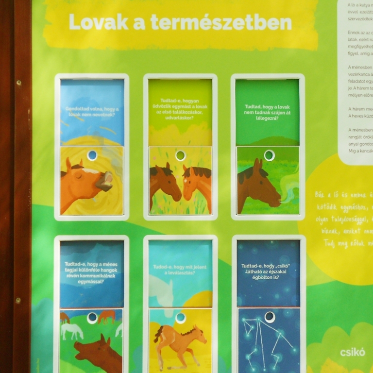 Interactive board on emotions of the horses - Pannello interattivo sugli emozioni dei cavalli